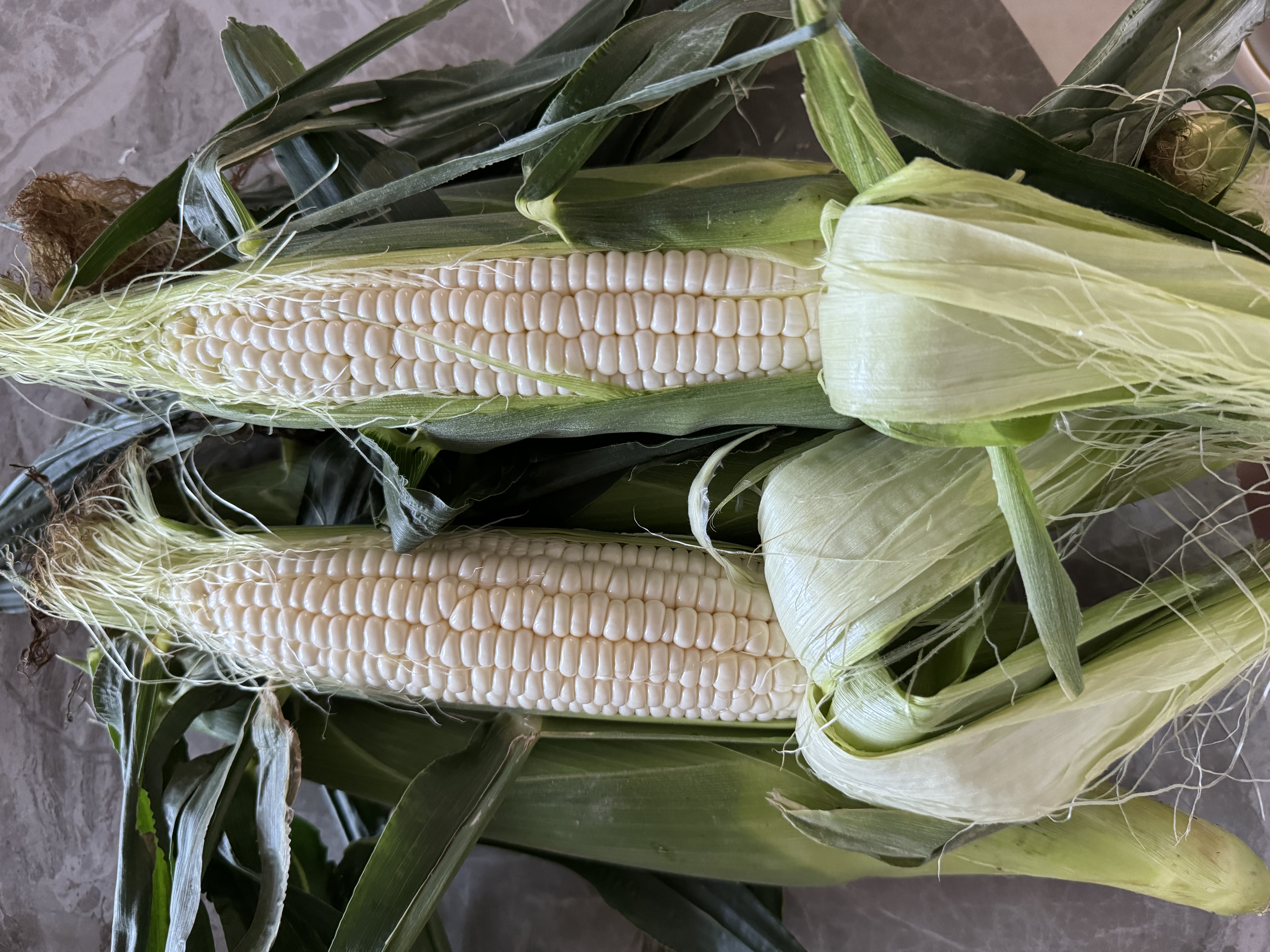 水果玉米特写镜头