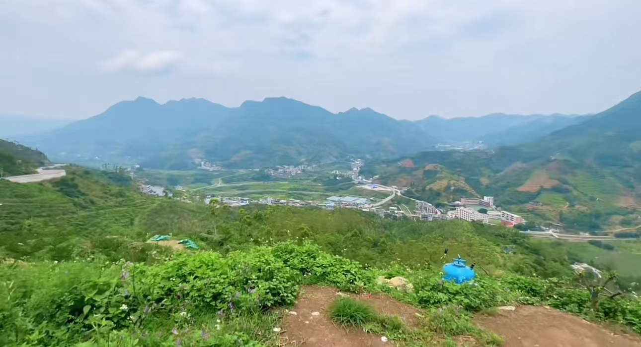 贵州六枝特区豪程蜂糖李果园实景,展现山地果园与绿色种植环境 豪程蜂糖李果园实景