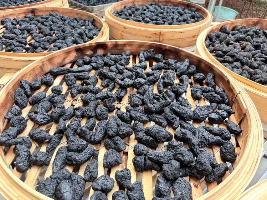 一个传统的木制蒸笼正被打开,冒出大量白色蒸汽,内部整齐排列着深褐色的熟地黄块根,旁边放置一瓶开封的黄酒和记录本,环境为乡村作坊式加工厂 熟地黄蒸制过程图示