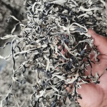 木耳干货木耳丝