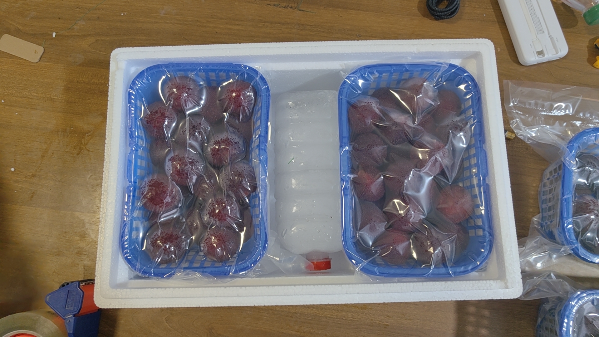 展示东魁杨梅放入保鲜盒并置于冰箱冷藏的场景,背景为厨房冰箱环境 东魁杨梅冷藏保存图