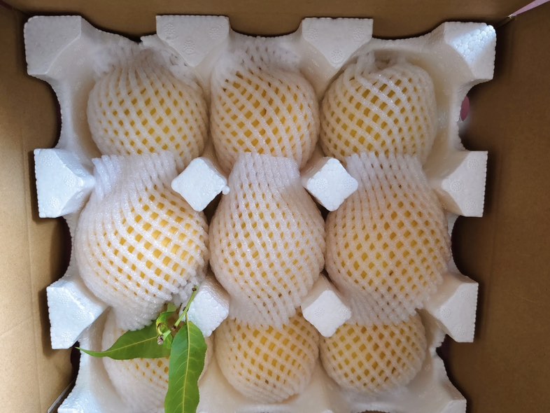 开放式低温冷冻柜内整齐摆放不同品牌的速冻黄桃袋装产品,部分袋子透明可视内部金黄色桃块,部分贴有“有机认证”“非转基因”“零添加”标识,消费者正在选购 超市冷柜中陈列的多种品牌冻黄桃包装产品对比图