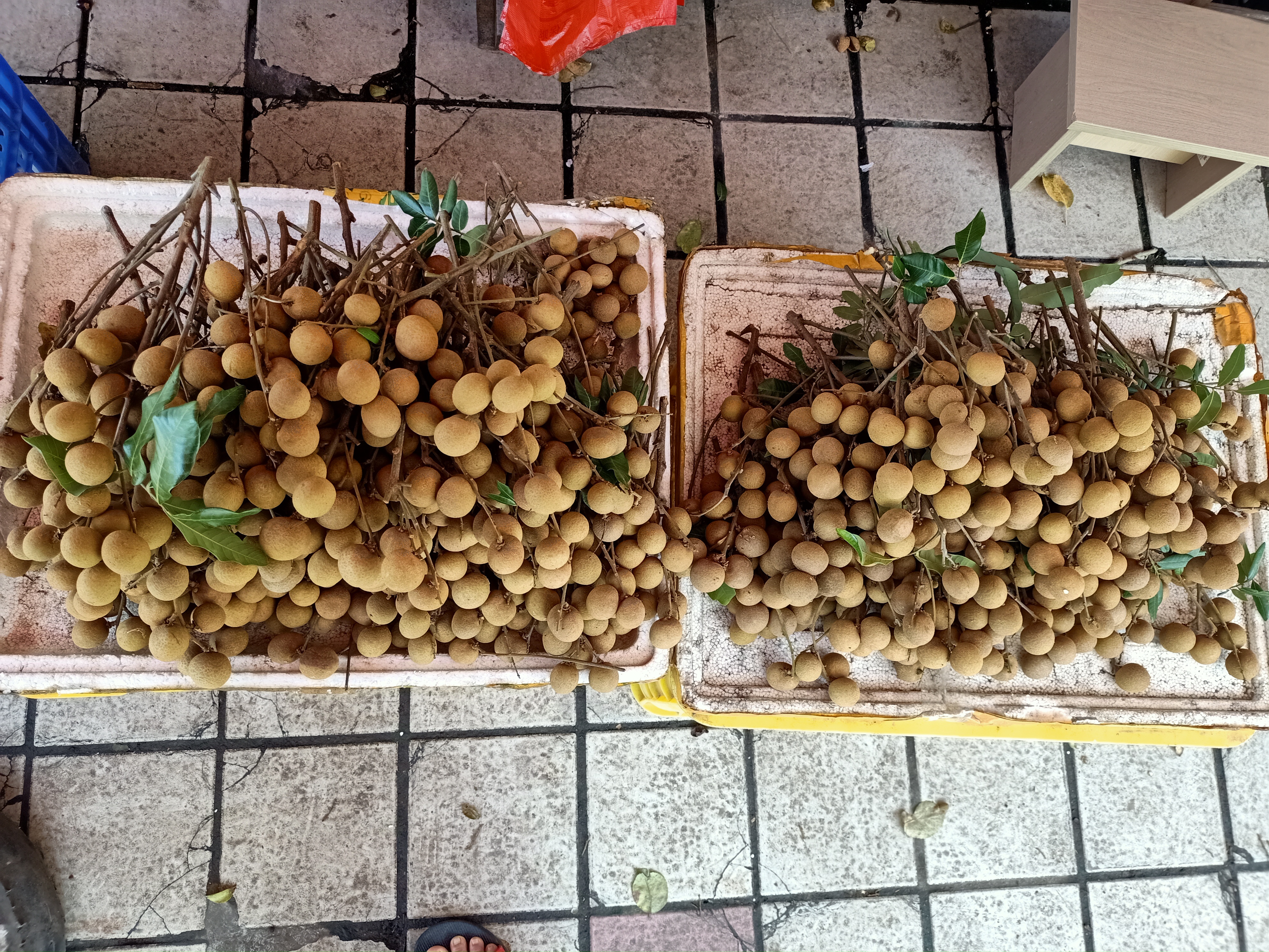 储良龙眼产品展示图,包括新鲜龙眼、龙眼干、龙眼蜜等,陈列在木质托盘上,背景为岭南风格的果园林景 储良龙眼产品展示