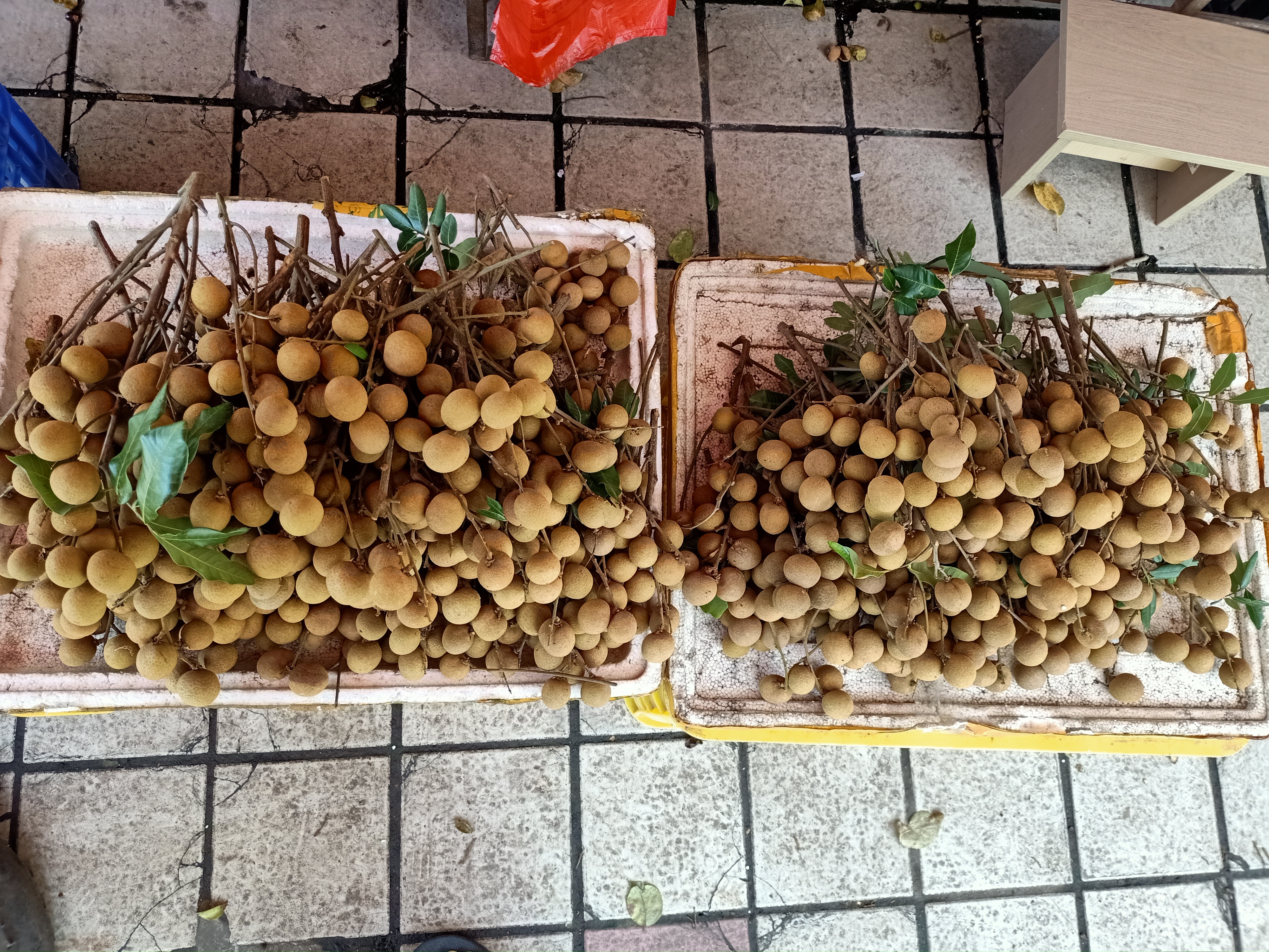 储良龙眼在7-9月成熟上市,摆放在市场摊位上吸引顾客选购 储良龙眼上市季节展示