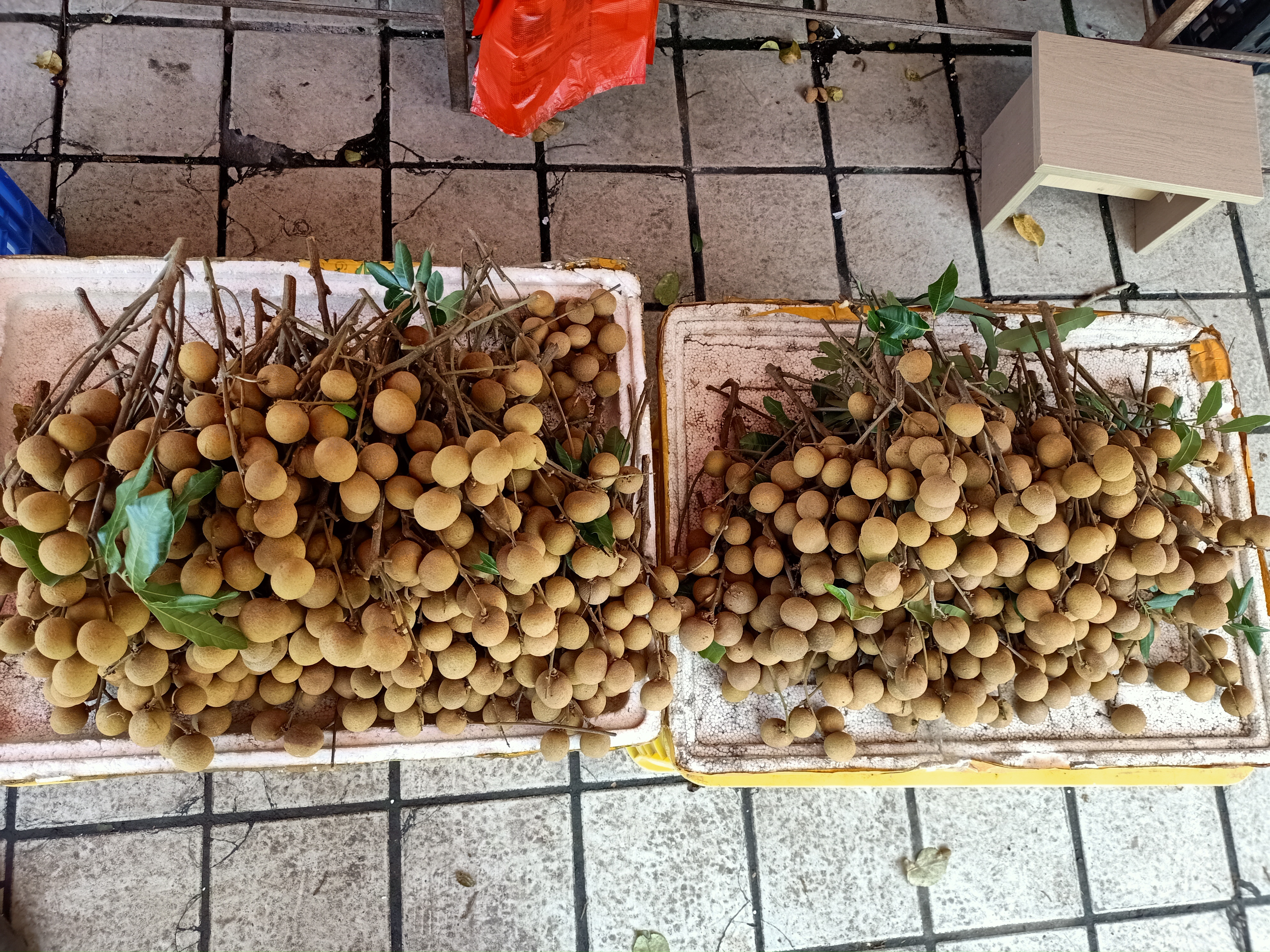 储良龙眼果实在市场中陈列的场景
