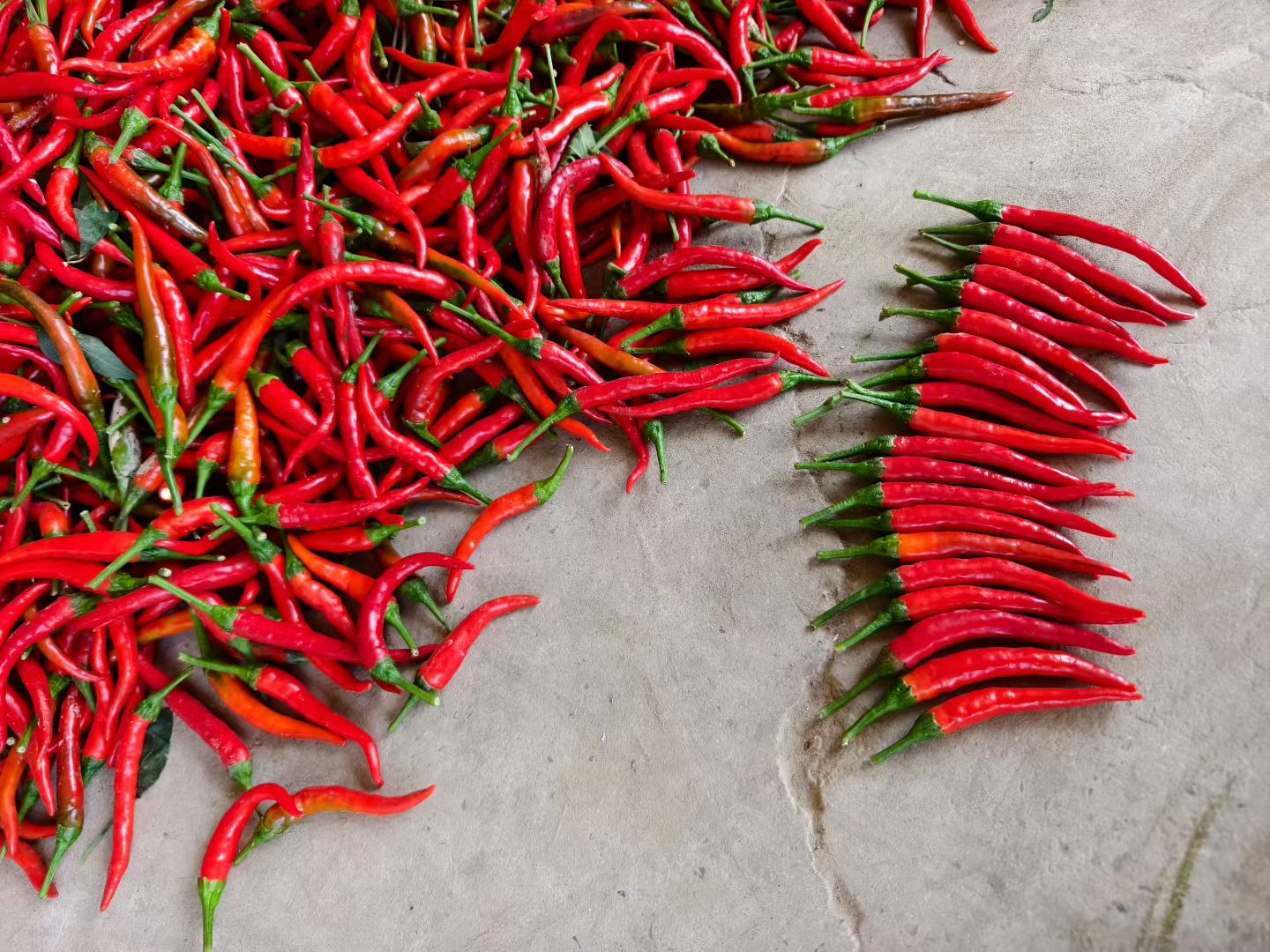 市场摊位上的鲜辣椒