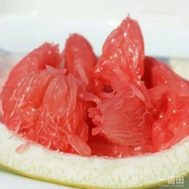 红肉蜜柚苗0.5~0.8cm0.5~0.8m