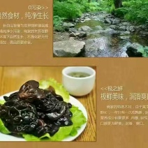 秋耳二级