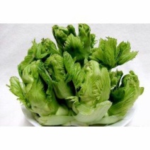 儿菜5两以上