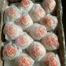 皇冠梨350~400g纸箱