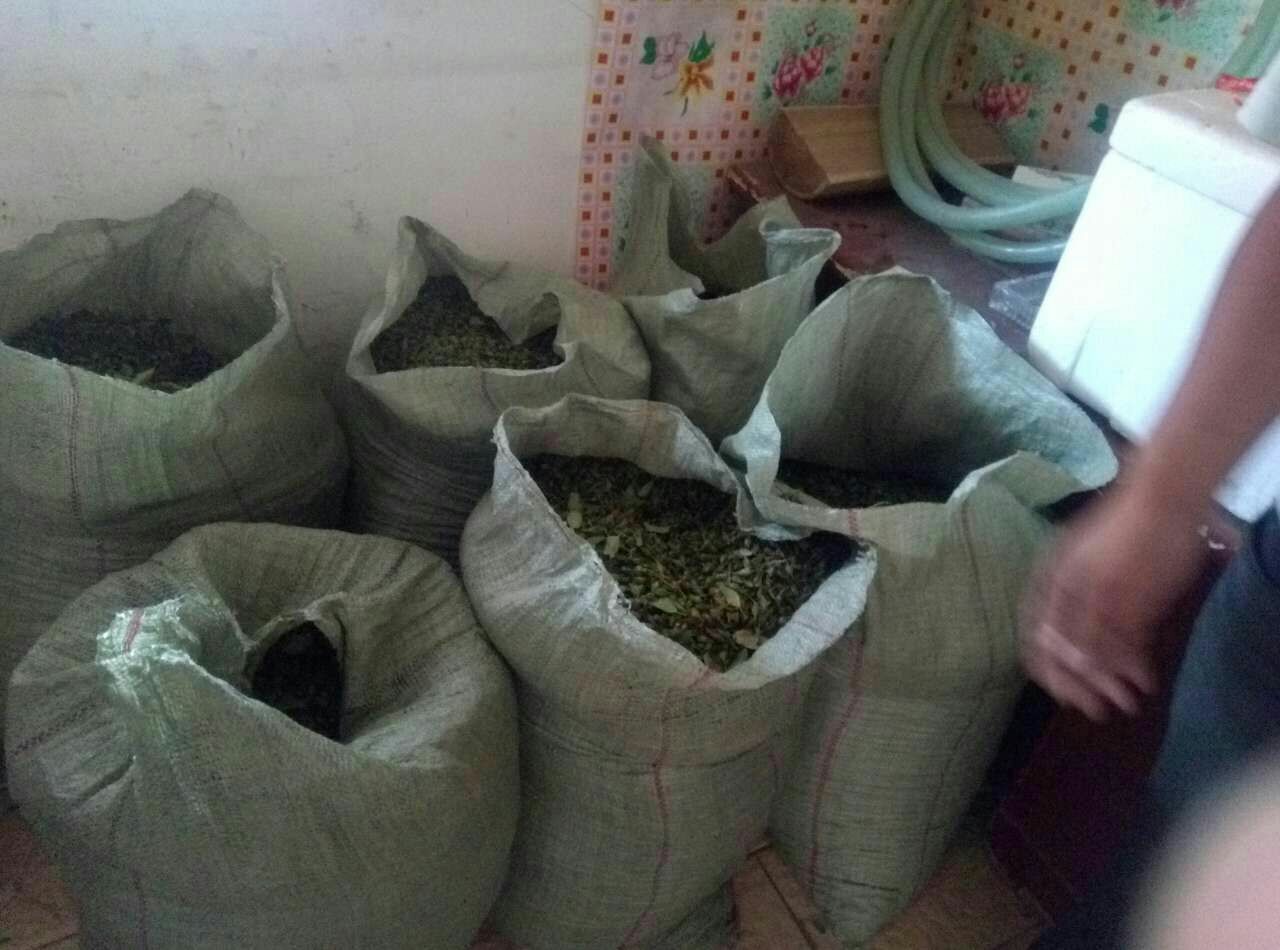 儿童在服用青翘小儿清热颗粒