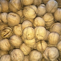 新疆185核桃去皮干