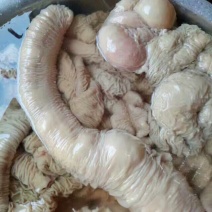 驴肉鲜货