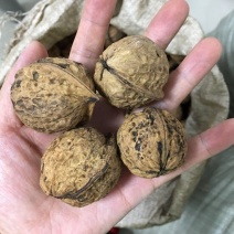 麻核桃