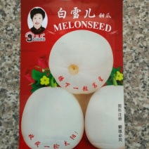 甜瓜种子白糖罐，白皮甜瓜