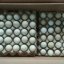 绿壳鸡蛋食用40~50g