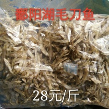 黄花鱼干