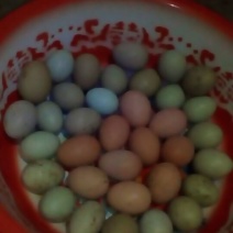 土鸡蛋食用50g以下