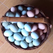 绿壳鸡蛋