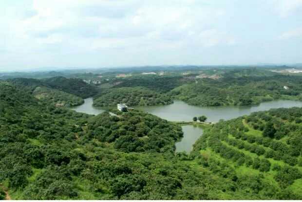 石硖龙眼的原产地广西贵港石硖村风光