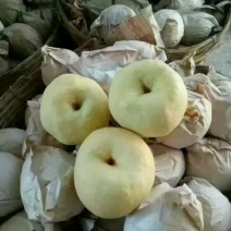 贡梨300~350g纸箱