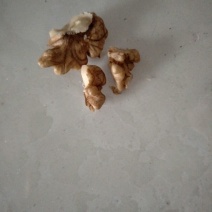 绵核桃去皮干