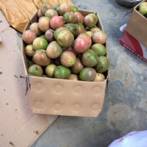 百香果