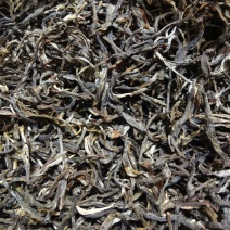 百年大树茶特级