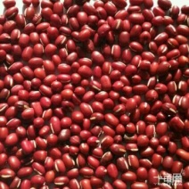红小豆散装