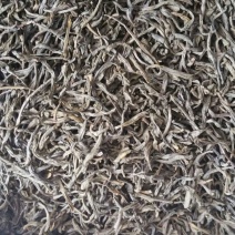 普洱茶
