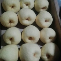 酥梨350~400g纸袋