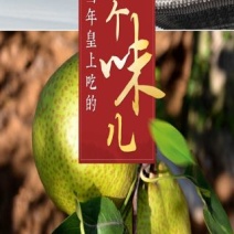 莱阳梨