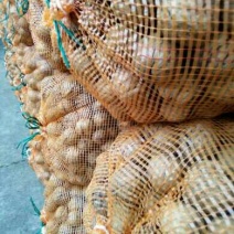 薄皮核桃30mm以上去皮干