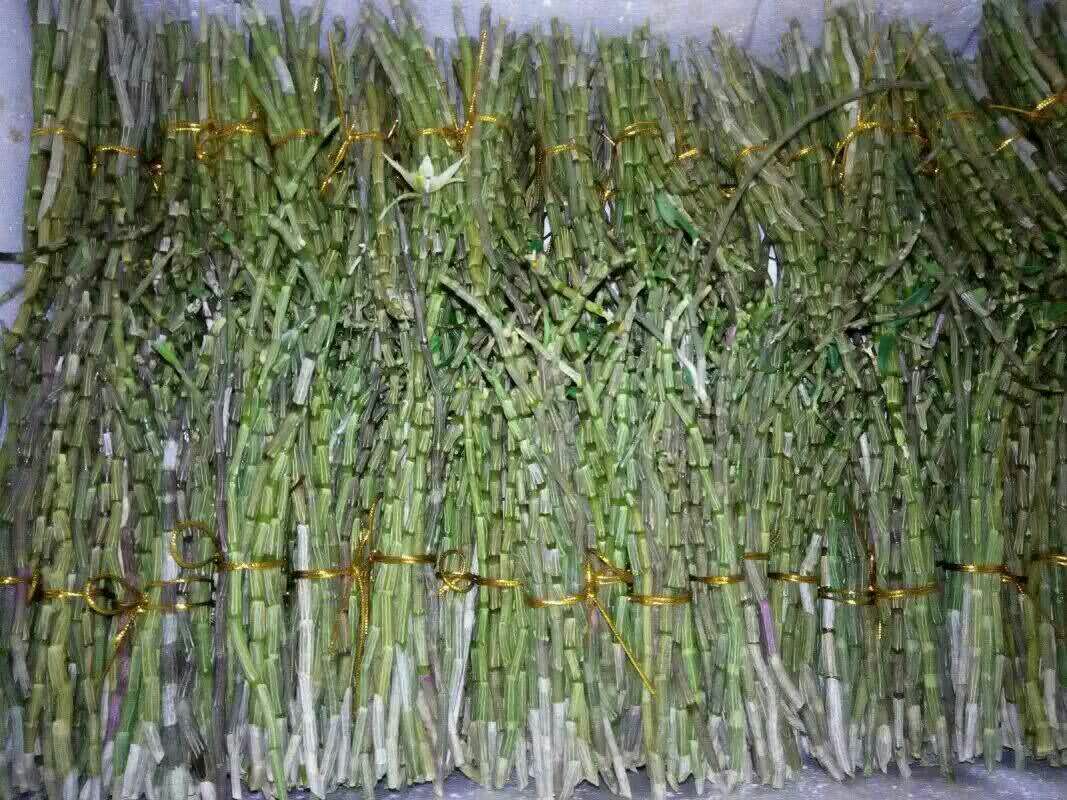 医院急救场景图