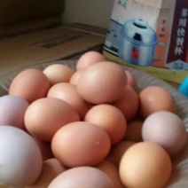 土鸡蛋食用50g以下