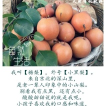 糖梨100~150g纸箱
