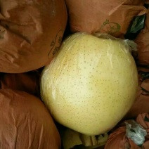 黄金梨350~400g纸加膜