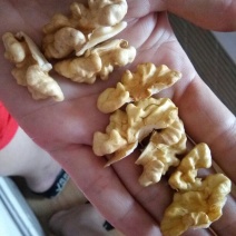薄皮核桃30mm以上去皮