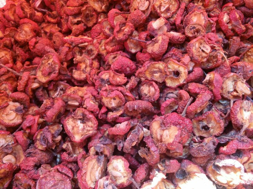 山楂干成品对比图：左为58℃规范烘干（色泽红润、片形完整、表面微霜）、右为68℃过烘（颜色棕黑、边缘卷曲、质地酥脆易碎）