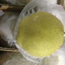 雪花梨250~300g纸箱
