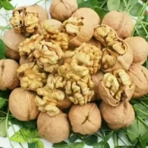 香玲核桃30mm以上去皮干