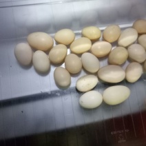 土鸡蛋食用60~75g