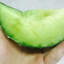 网纹瓜3斤以上椭圆形