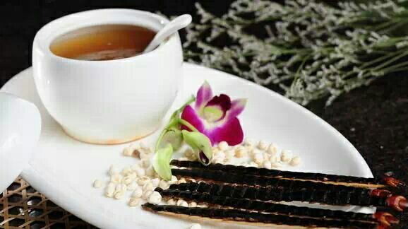 川贝母药膳炖盅图