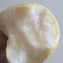 砀山梨250~300g纸袋
