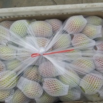 红香酥梨100~150g筐装