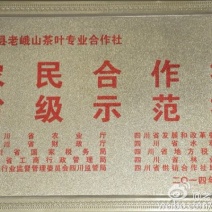 川茶一级