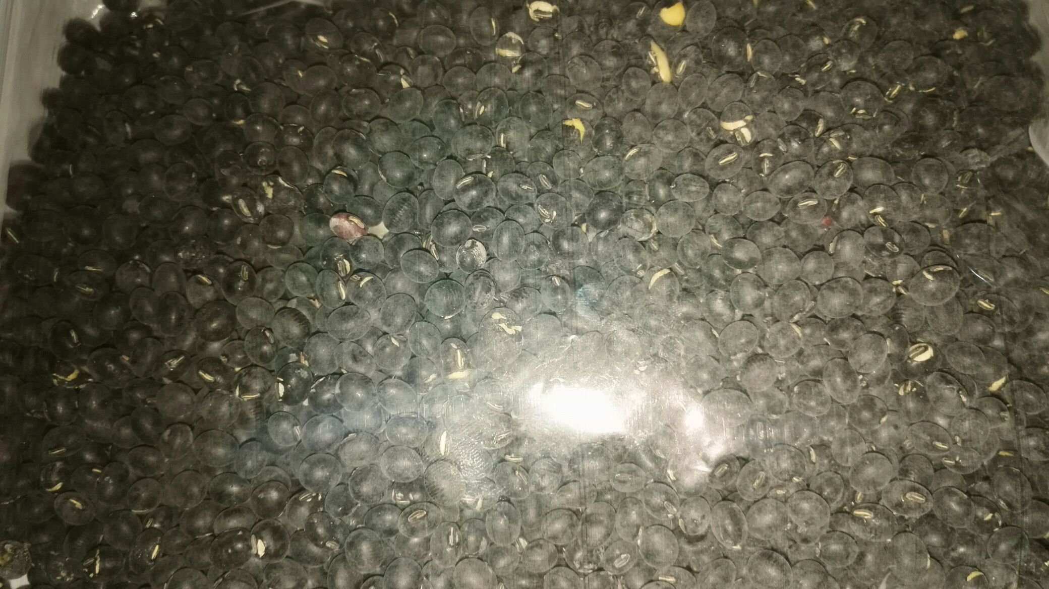 圣育24大豆简公产业链示意图