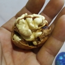 核桃去皮