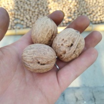 香玲核桃30mm以上去皮
